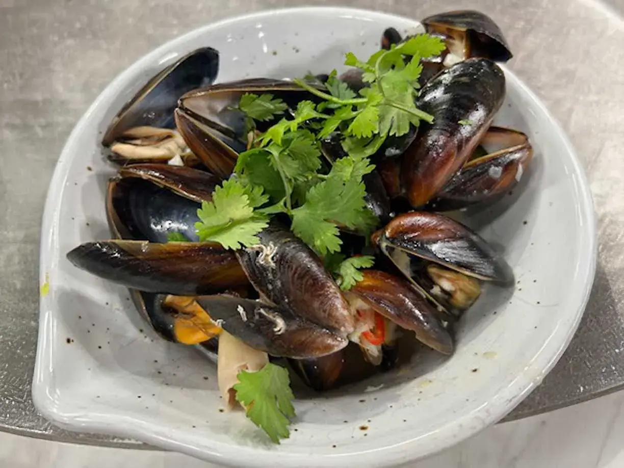 En skål med ångade musslor, garnerade med färsk koriander. Perfekt för ett enkelt musslor recept.