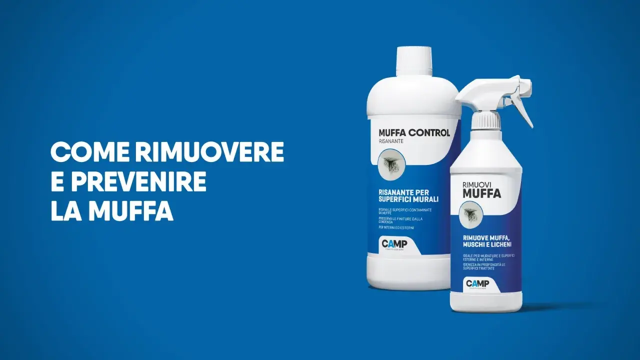 Soluzione per il trattamento muffa muri: due prodotti CAMP per risanare e rimuovere muffa, muschi e licheni da interni ed esterni.