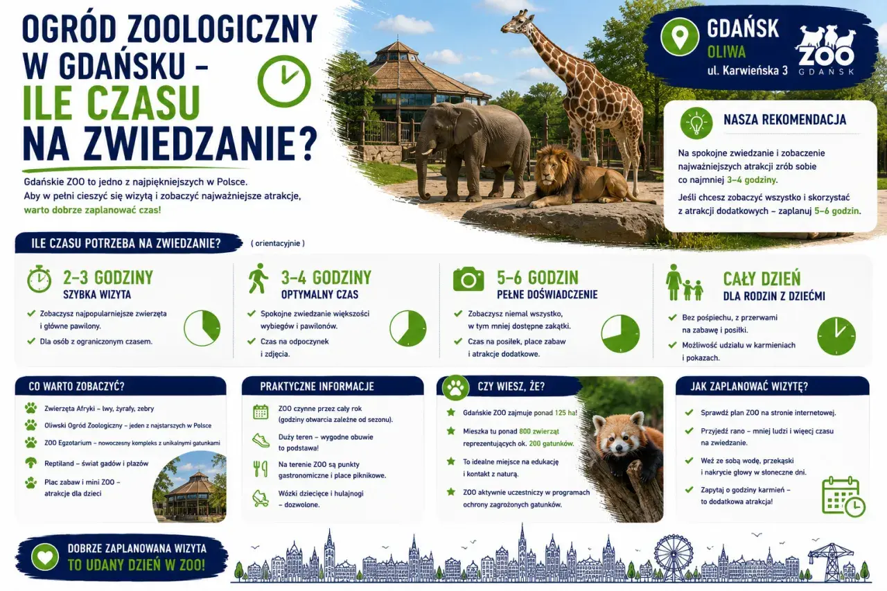 Gdańsk Zoo zaprasza do podziwiania zwierząt. Planuj wizytę, by zobaczyć lwy, żyrafy i inne gatunki.