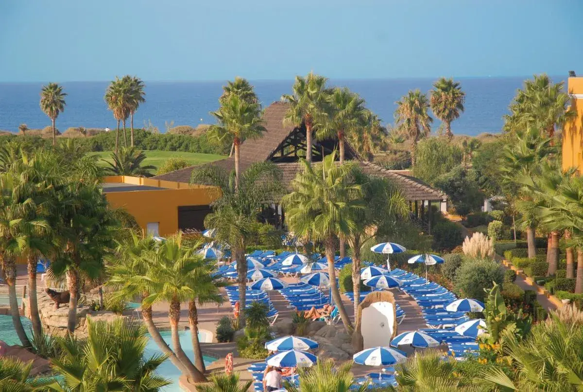 Vista aérea del hotel Playa Ballena con palmeras, piscinas y tumbonas bajo sombrillas azules y blancas.
