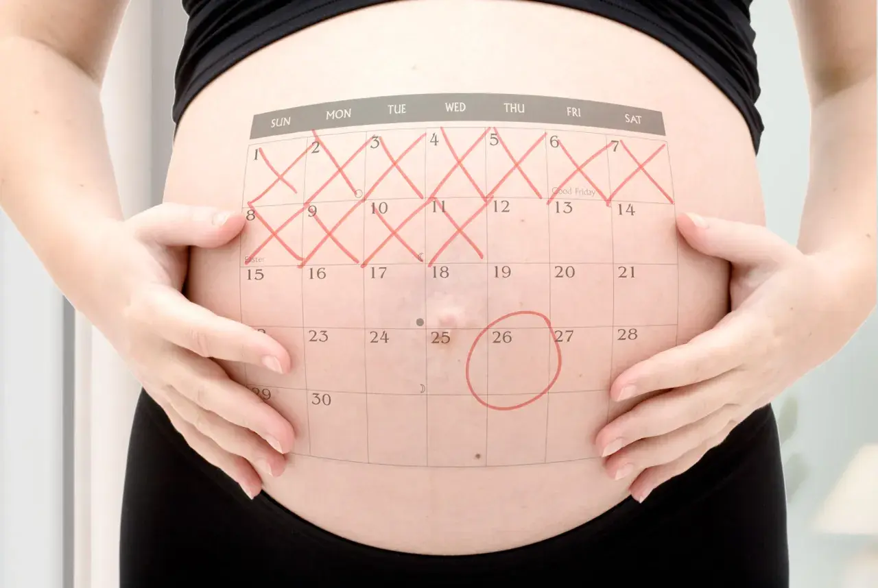 Gravid mage med en kalender överlagd. Röd ring runt den 26:e. Vilken vecka gravid?