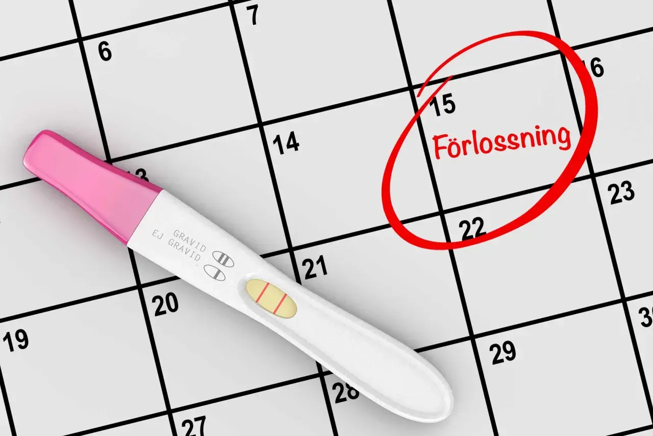 Graviditetstest visar positivt. Kalendern visar att förlossningen är planerad om några trimester veckor, markerad med en röd cirkel.