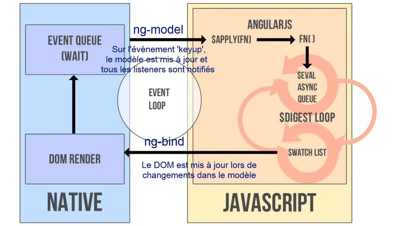 Schéma expliquant le fonctionnement d'AngularJS, avec l'event loop, le DOM render et le digest loop.