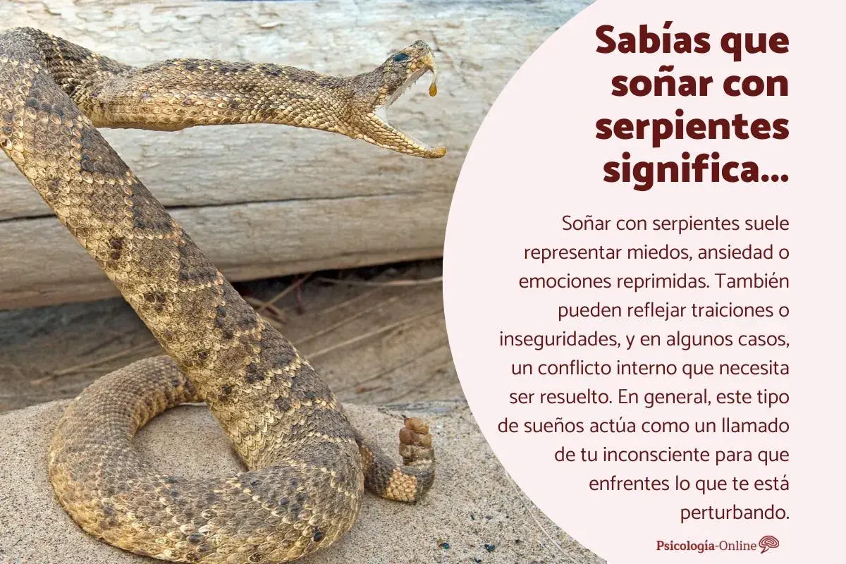 Una serpiente de cascabel con la boca abierta, lista para morder. Soñar que te muerde una serpiente puede indicar miedos o conflictos internos.