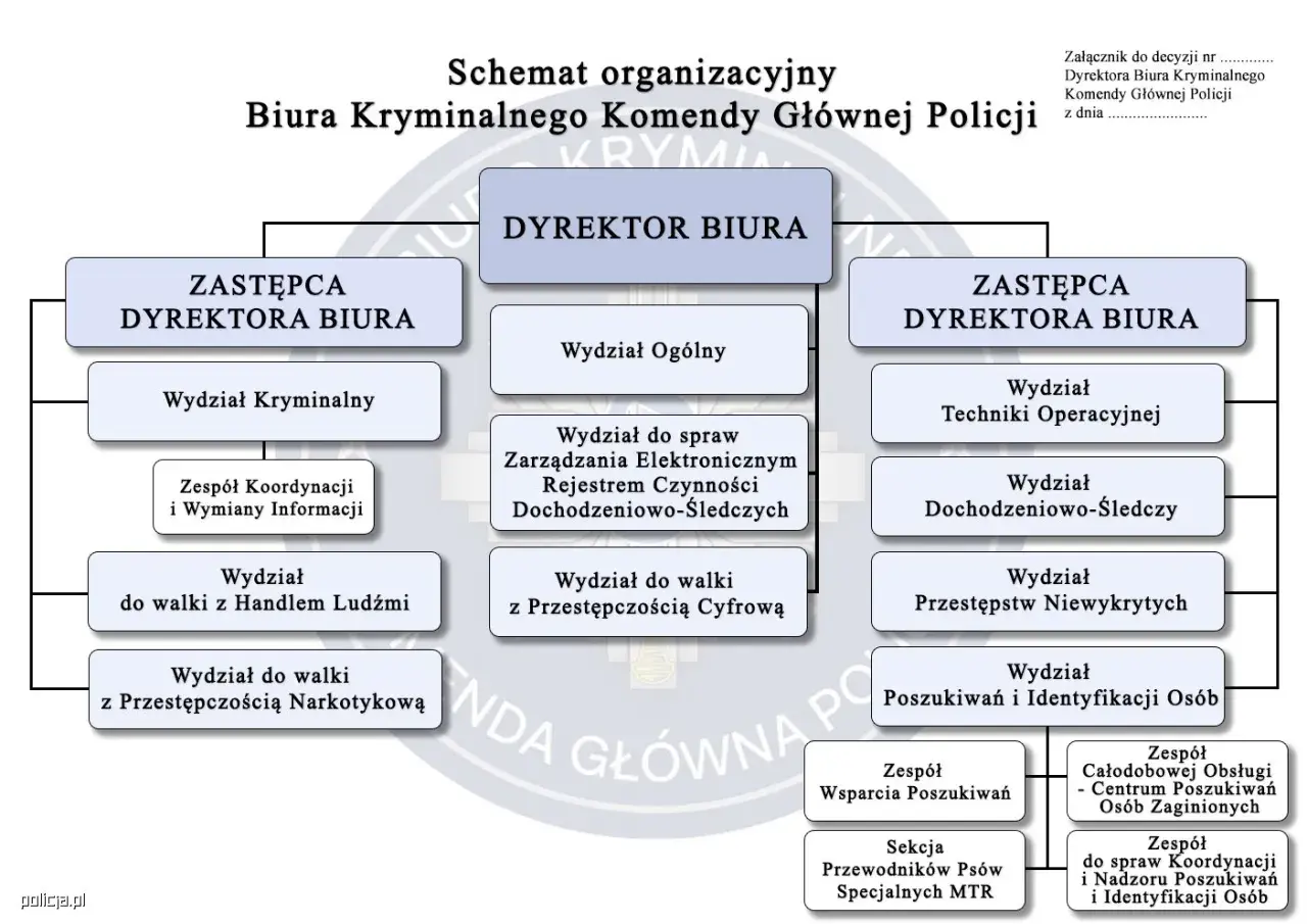 Schemat Biura Kryminalnego Policji: zajmuje się walką z handlem ludźmi, przestępczością narkotykową, cyfrową, poszukiwaniem osób i identyfikacją.