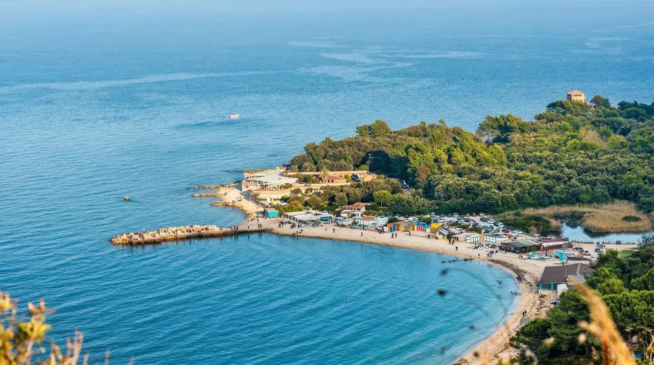 Una splendida spiaggia delle Marche, con un molo affollato, stabilimenti balneari e una pineta lussureggiante che si estende fino al mare.