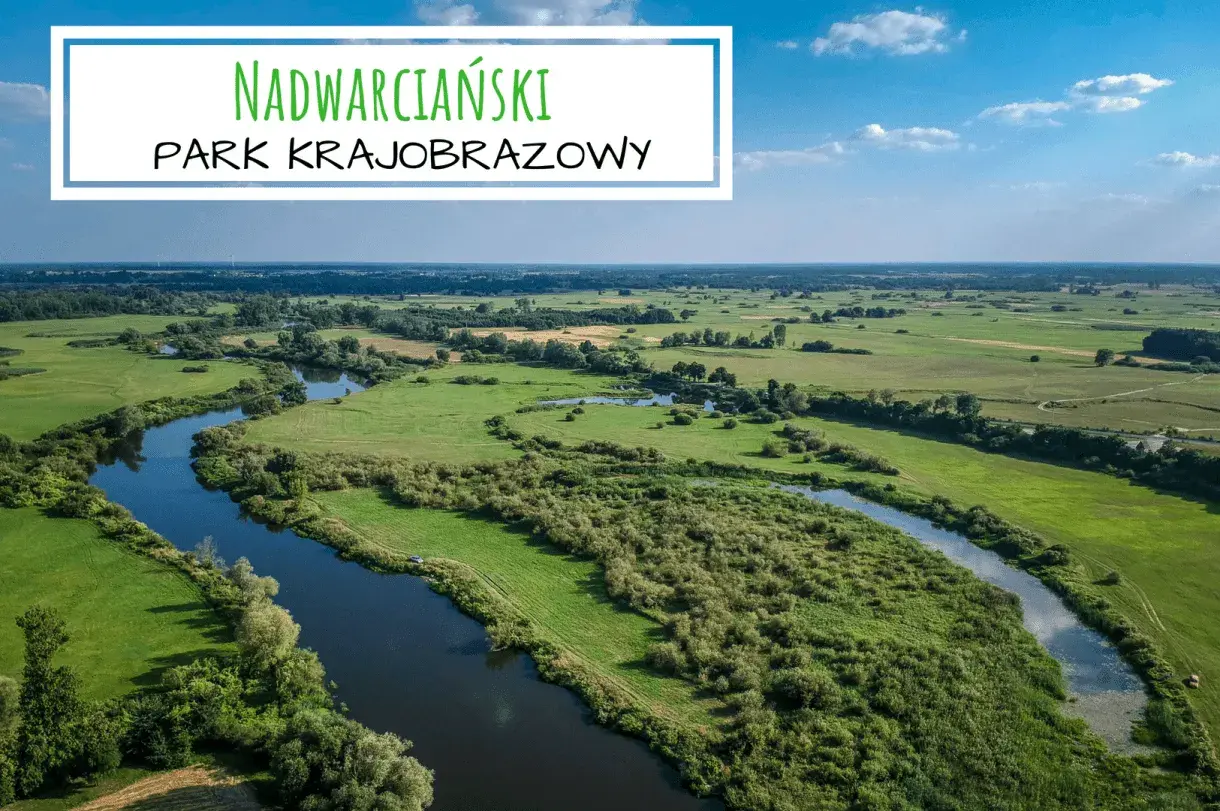 Malowniczy krajobraz nadwarciański park krajobrazowy z krętą rzeką, zielonymi łąkami i lasami w tle.