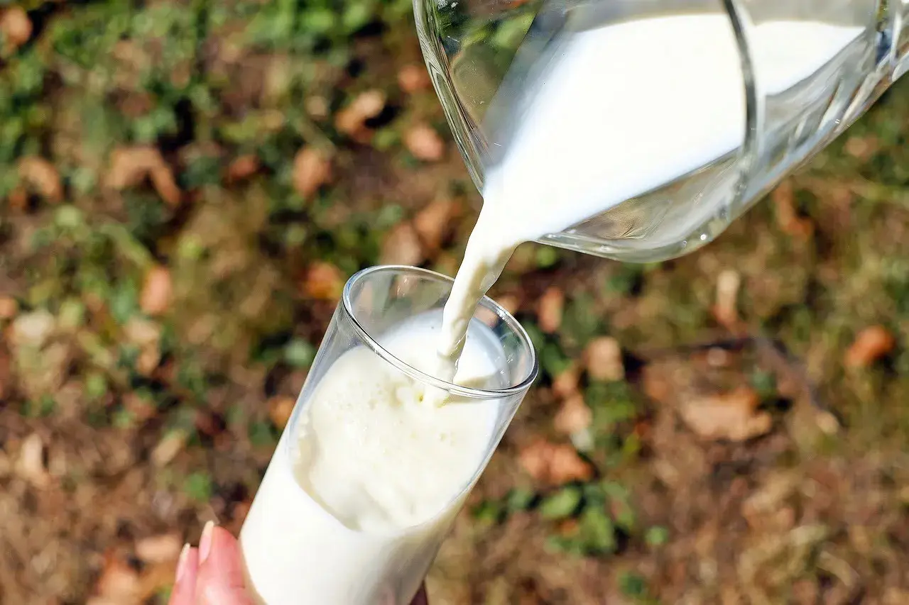 Versando latte in un bicchiere, un gesto che ricorda la scissione lattosio per chi ha intolleranze.