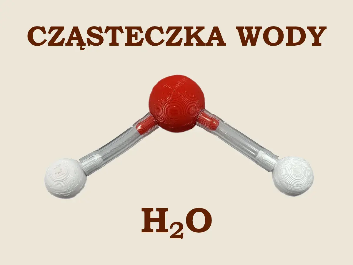 Model cząsteczki wody H₂O. Czerwona kula symbolizuje atom tlenu, a dwie białe atomy wodoru połączone są z nią pod kątem.