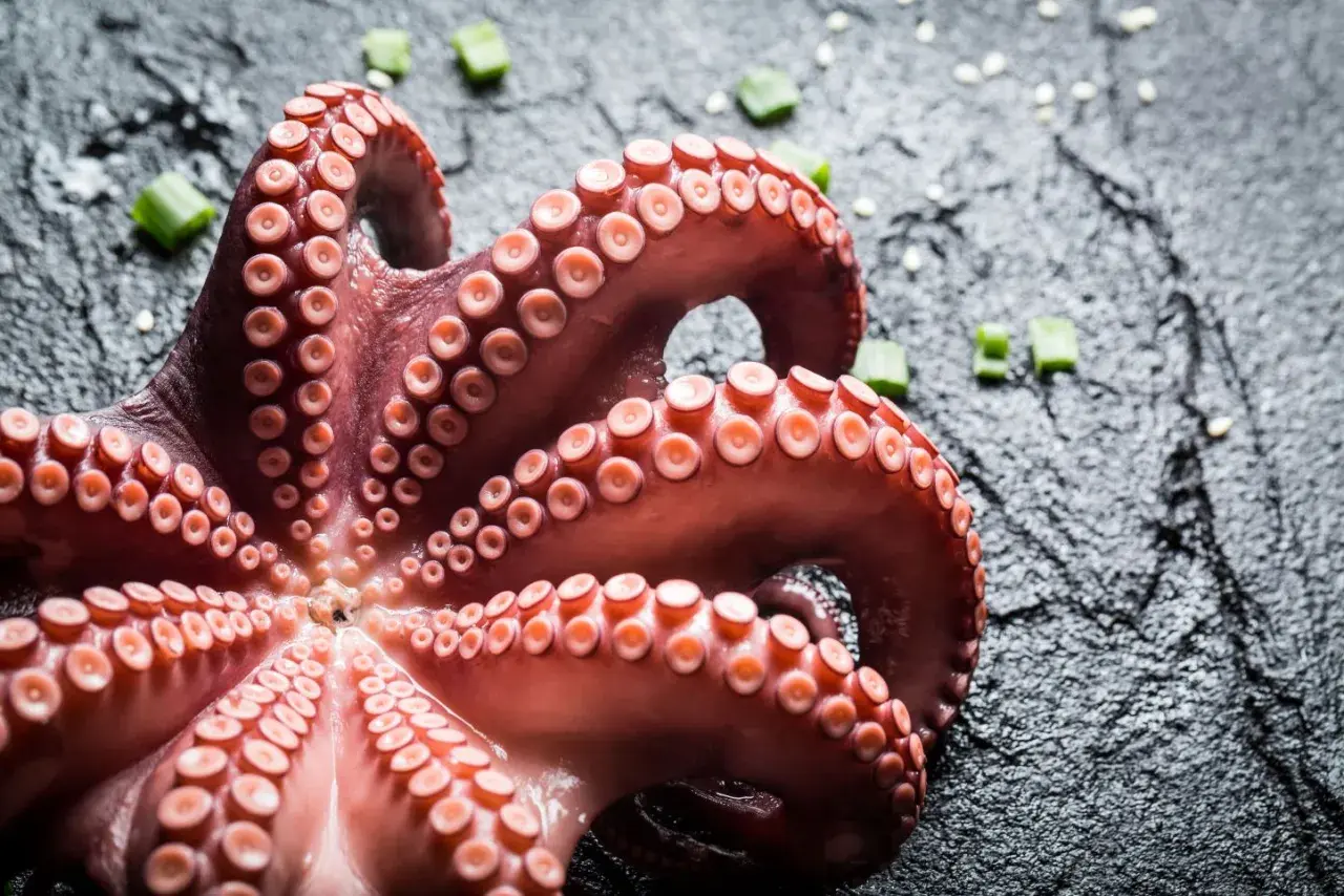 Tentacoli di polpo in umido, pronti per essere gustati, su sfondo scuro con erba cipollina.