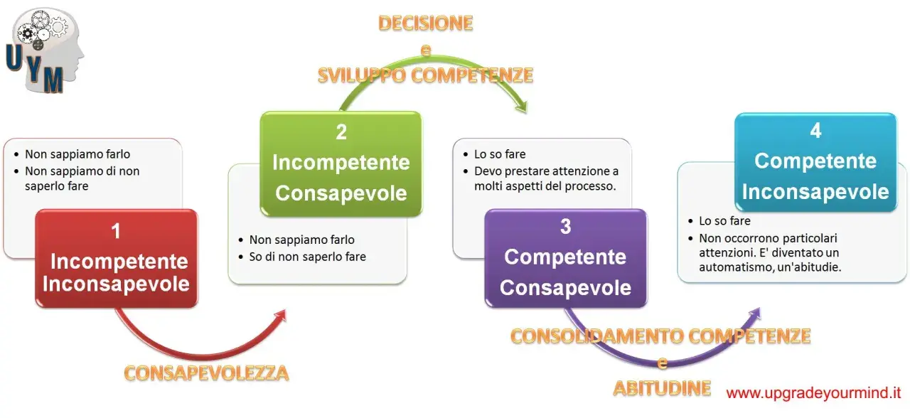 Diagramma dei 4 stadi dei processi di apprendimento: dall'incompetenza inconsapevole alla competenza inconsapevole, passando per la consapevolezza.