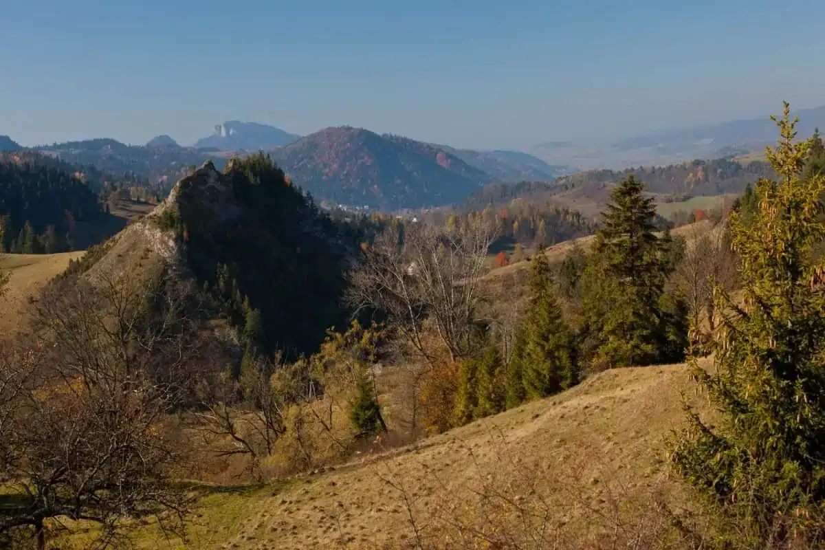 Jesienny krajobraz Pienin Wysokiej z łagodnymi wzgórzami, skalistym zboczem i drzewami w barwach jesieni.
