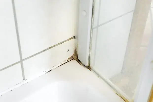 Silikon czernieje? Poznaj przyczyny i usuń pleśń raz na zawsze!