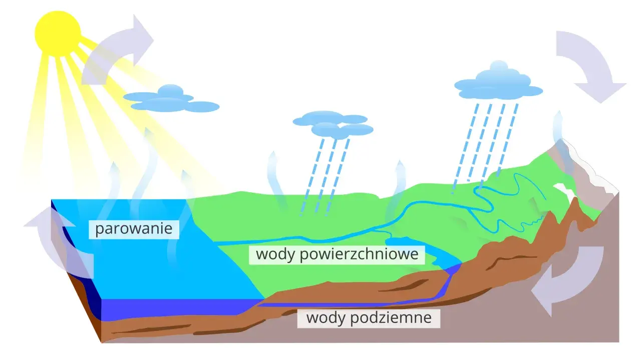 Ilustracja cyklu wodnego: słońce, parowanie, chmury, deszcz, wody powierzchniowe i podziemne.