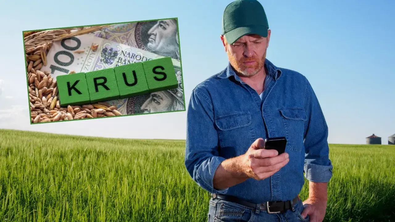 Rolnik w polu sprawdza telefon. Obok zboże, banknot 100 zł i kostki z napisem "KRUS". Ubezpieczony rolnik dba o swoje interesy.