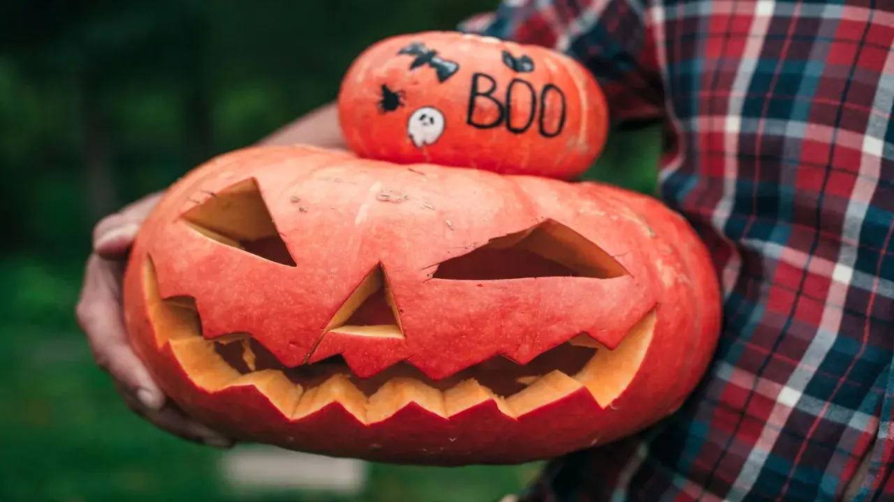 Zucca intagliata con faccia spaventosa e una più piccola sopra con simboli di Halloween in inglese: pipistrello, ragno e la scritta "BOO".