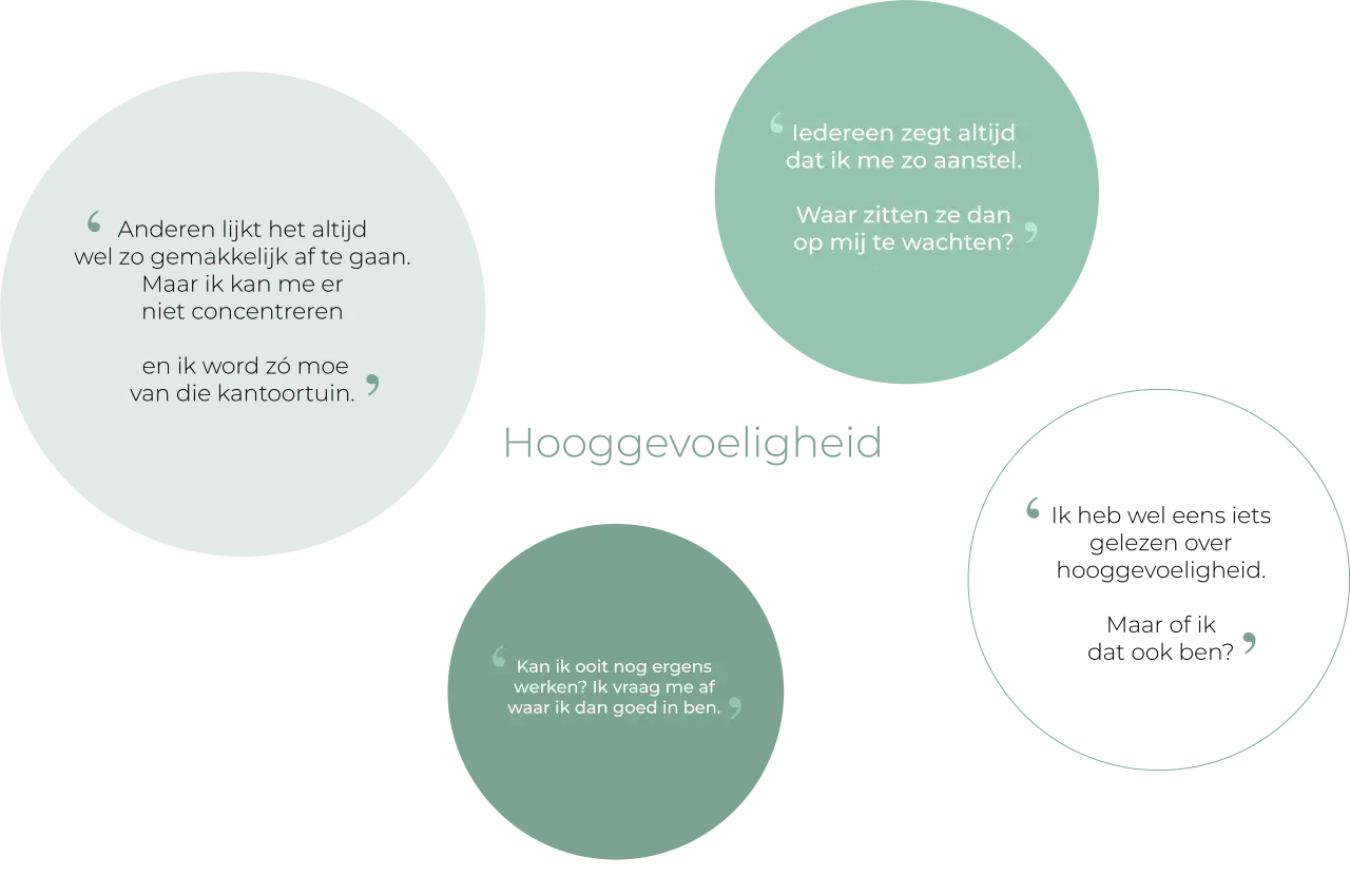 Hooggevoeligheid: "Anderen lijkt het altijd wel zo gemakkelijk af te gaan." Een high sensation seeker die moeite heeft met concentratie.
