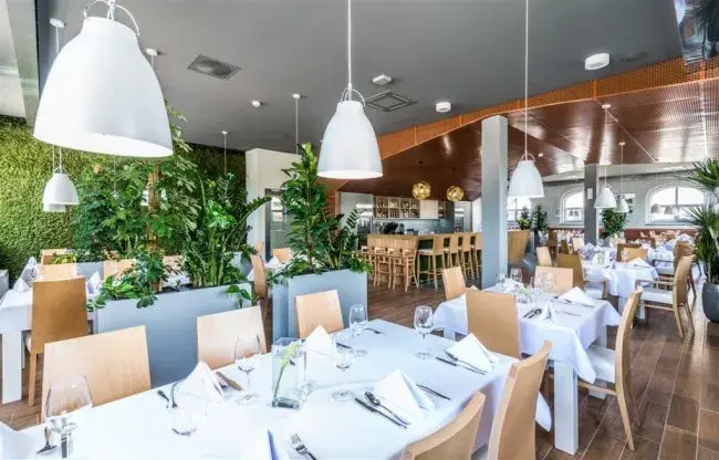 Leszno: Gdzie zjeść? Najlepsze restauracje na każdą okazję