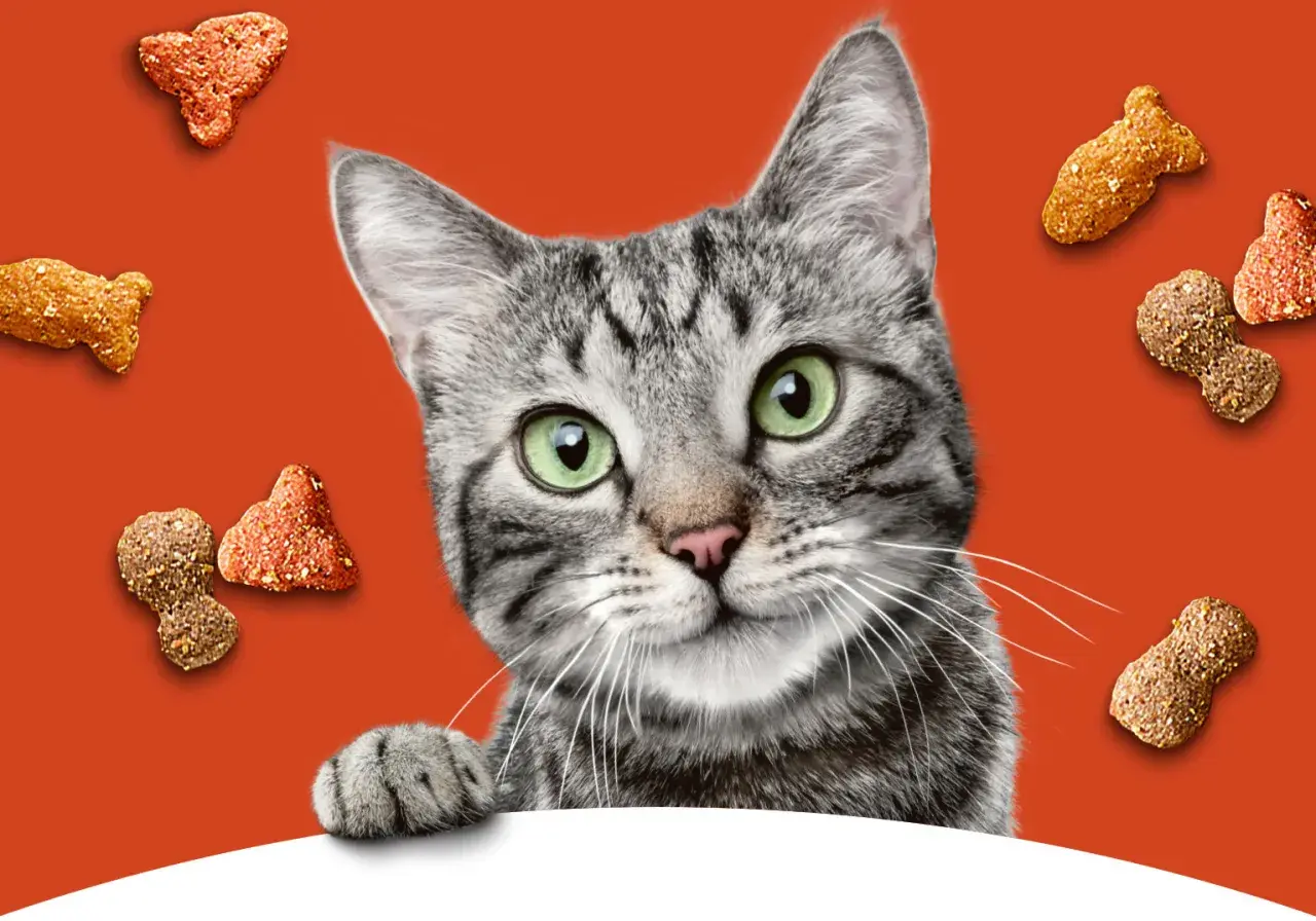 A tabby cat peeks over a white surface, surrounded by kibble. Is Meow Mix good for cats? This cat seems to think so!