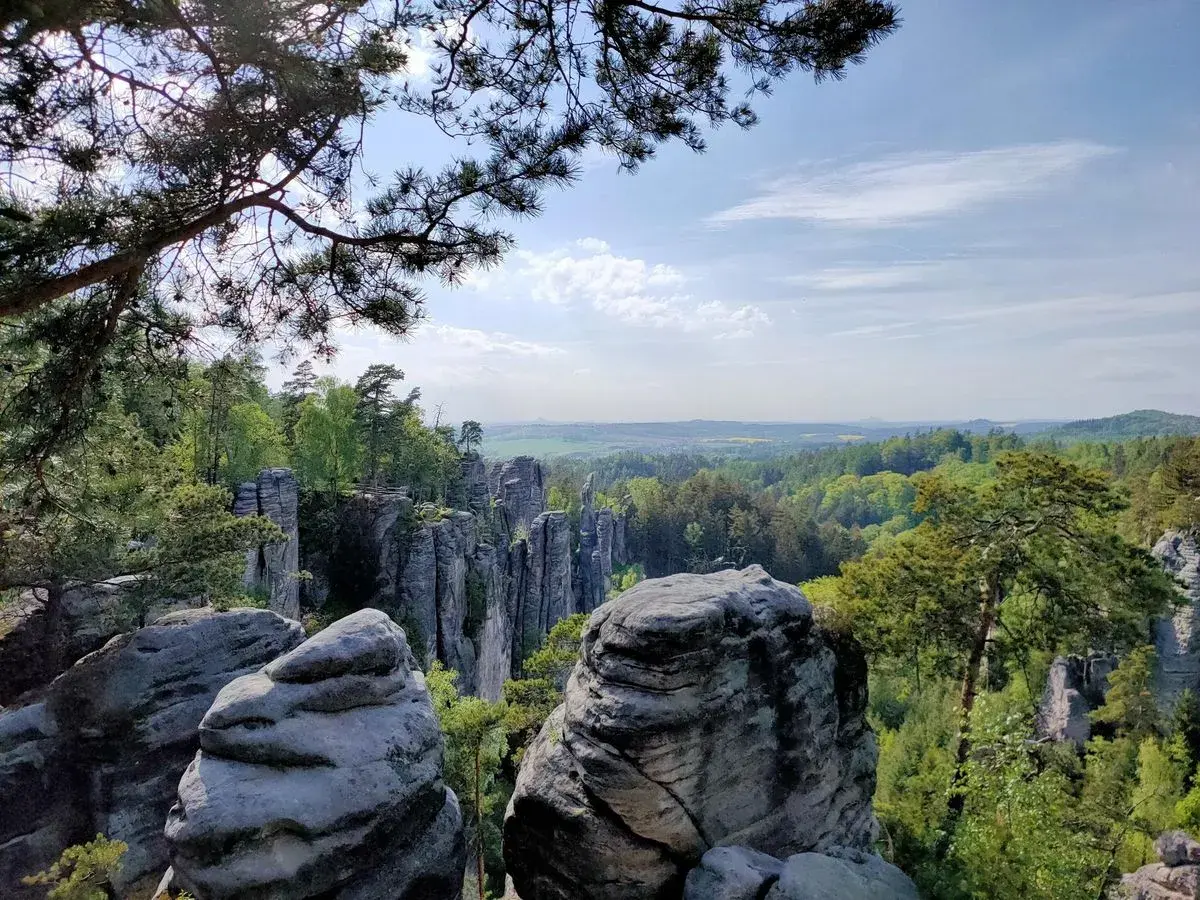 Blick über die Prachauer Felsen, eine beeindruckende Sandsteinformation, umgeben von grünen Wäldern und einem weiten Horizont unter blauem Himmel.