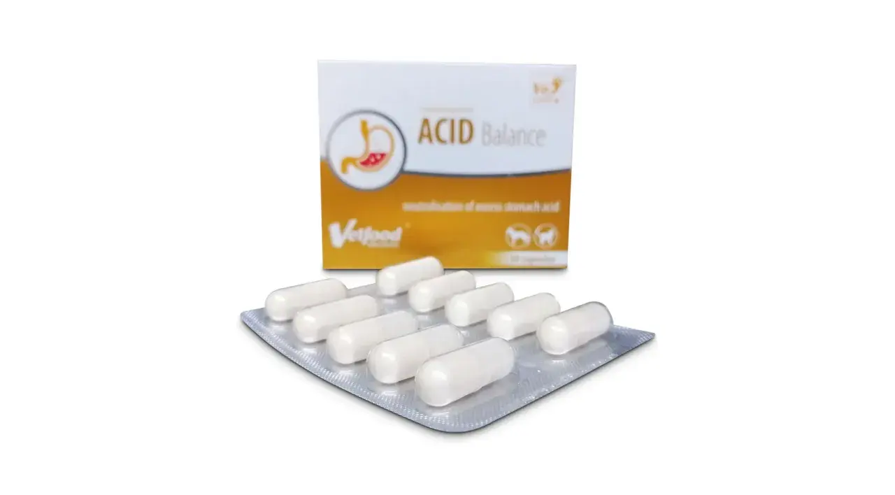 Acid Balance dla psa: zakwaszanie moczu, kamica i infekcje