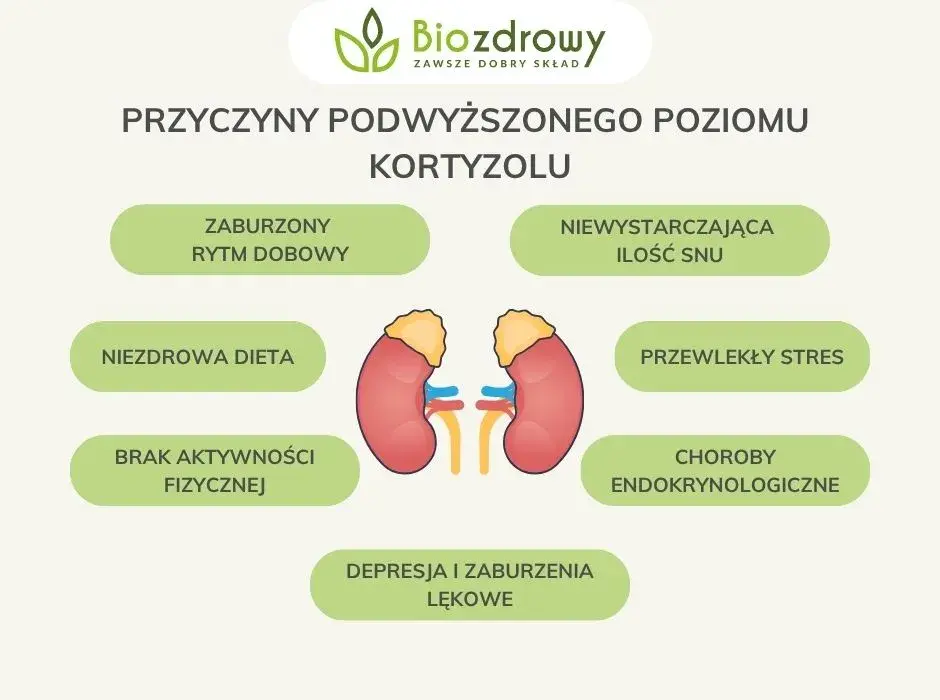Objawy niskiego kortyzolu: Jak rozpoznać niedobór hormonu stresu?