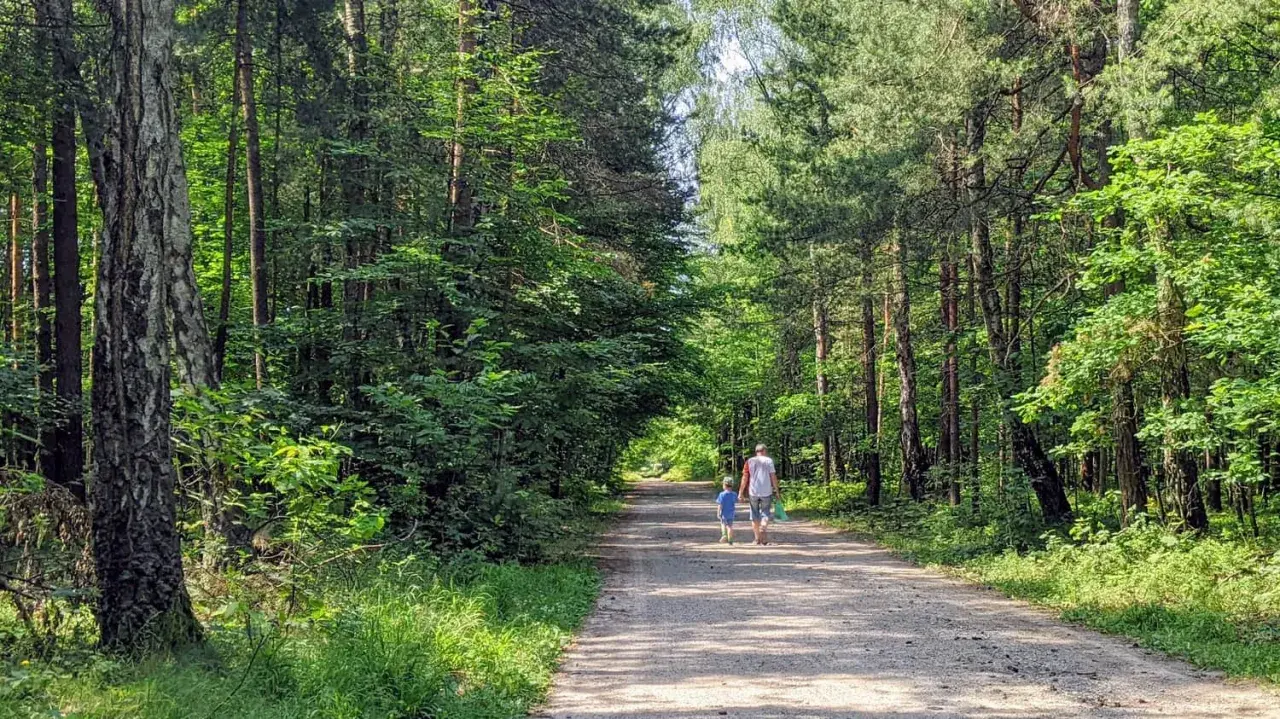 Spacer po puszczy dulowskiej. Ojciec z synem idą leśną drogą, otoczeni zielenią drzew.