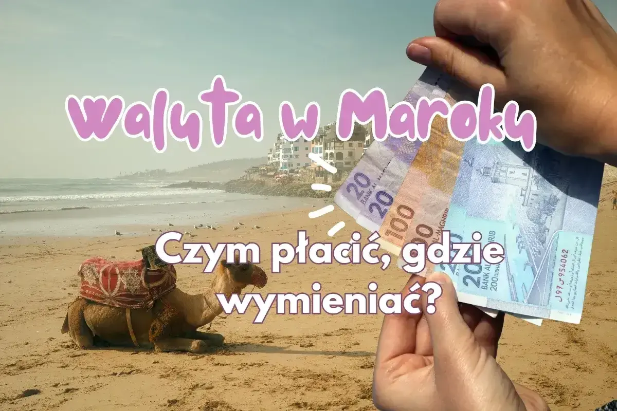 Dłoń trzyma marokańskie banknoty na tle plaży z wielbłądem i budynkami.