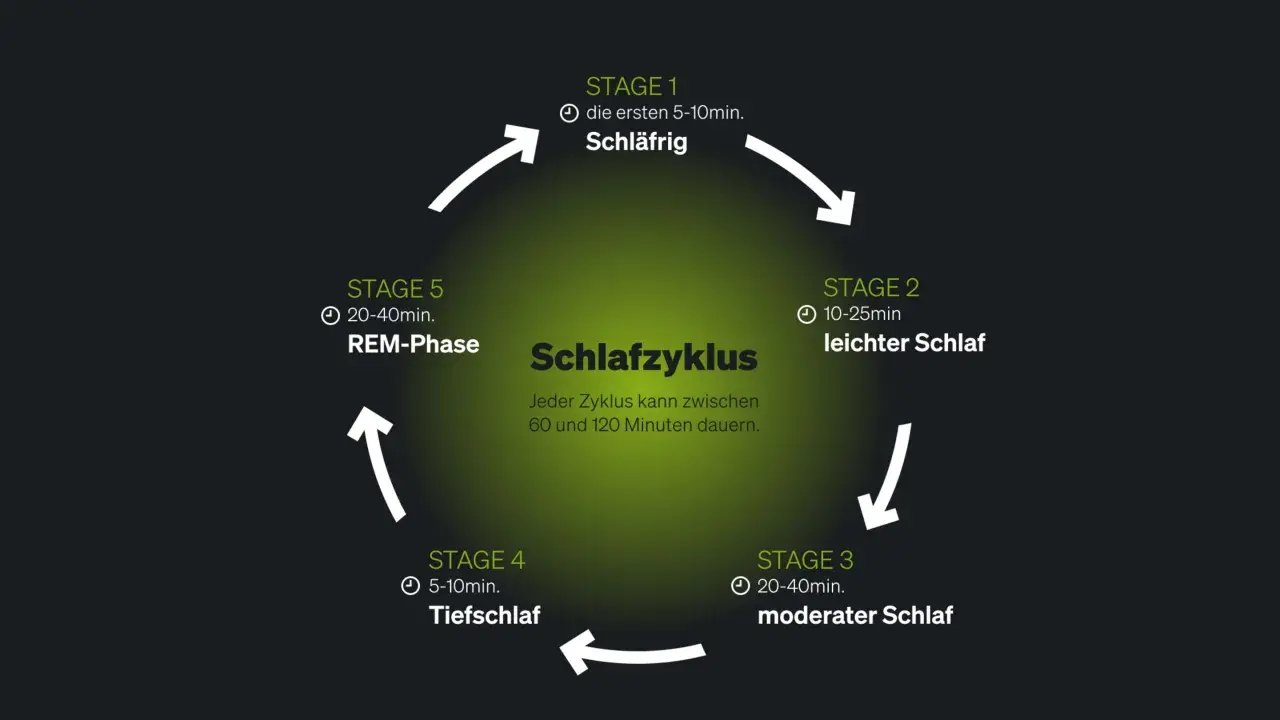 Der Schlafzyklus mit seinen Phasen (Schläfrig, leichter, moderater, Tiefschlaf, REM) erklärt die Bedeutung von gutem Schlaf. Ein Zyklus dauert 60-120 Min.