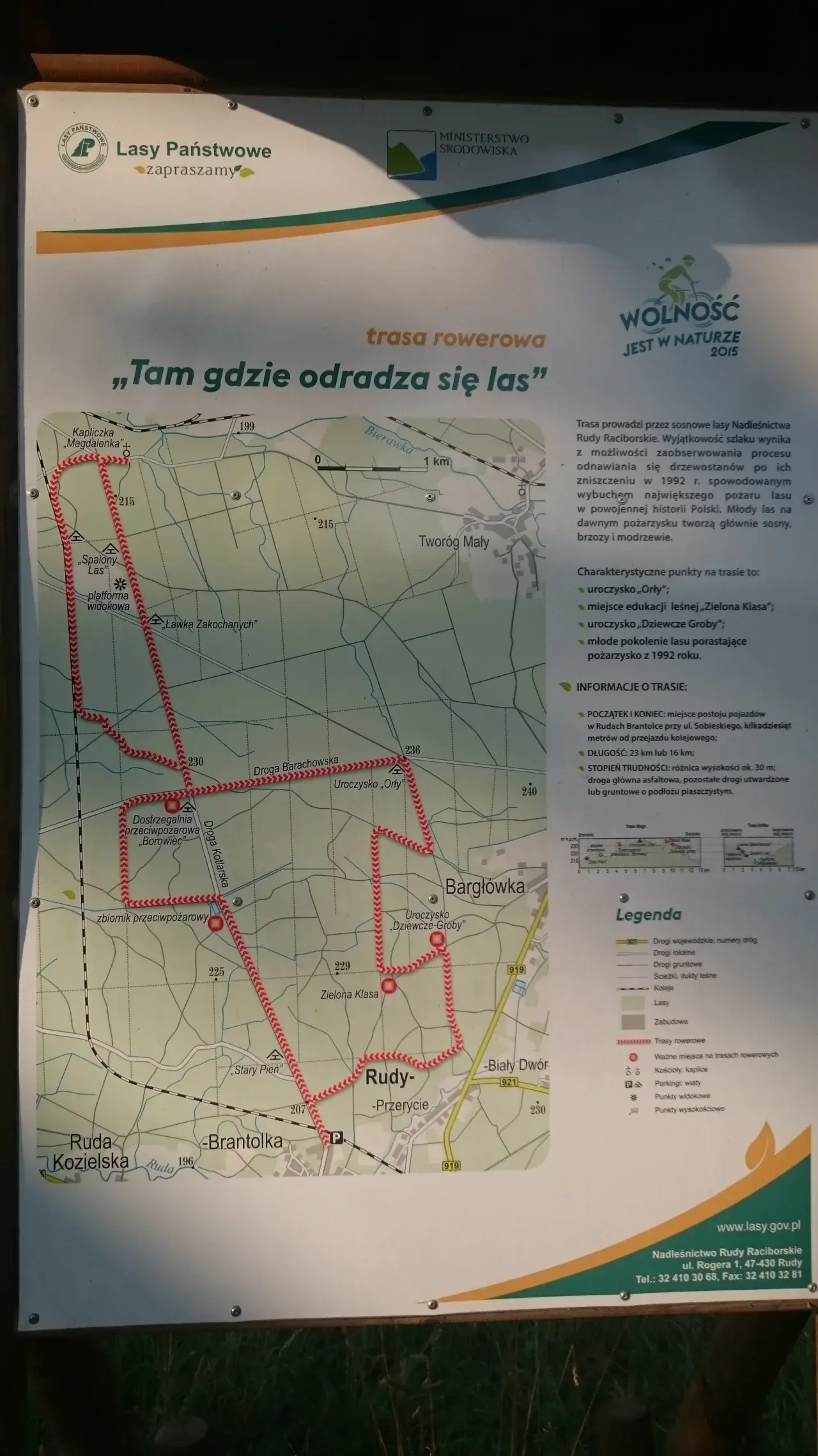 Mapa szlaku rowerowego w Nadleśnictwie Rudy Raciborskie. Trasa prowadzi przez tereny po pożarze lasu, gdzie odradza się młody las.