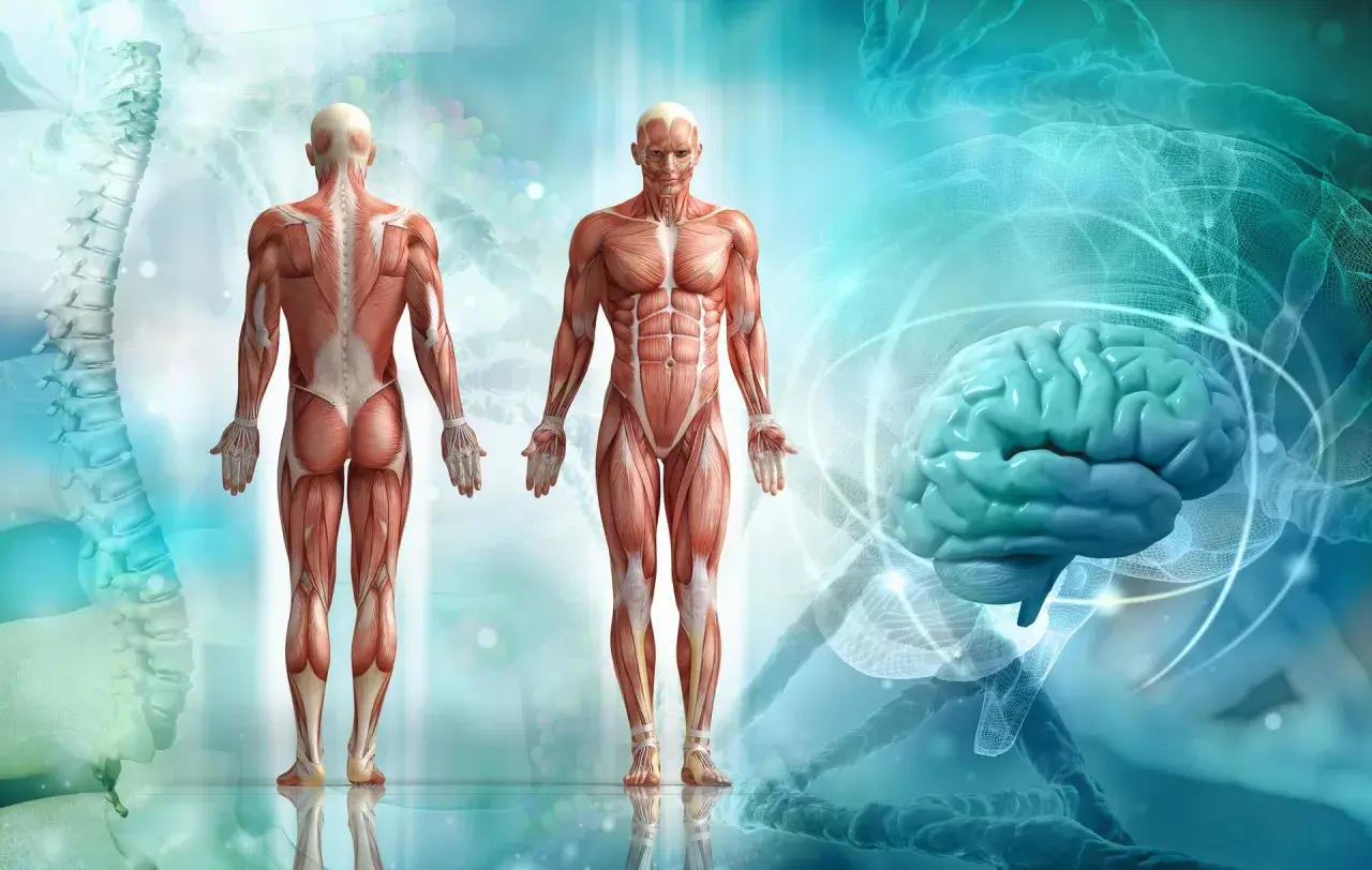 Anatomia kolarza: sylwetka i budowa ciała - Czym się różnią?