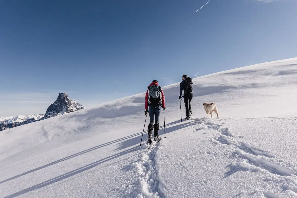 Dos personas y un perro disfrutan de una ruta con raquetas de nieve bajo un cielo azul, con una montaña nevada al fondo.