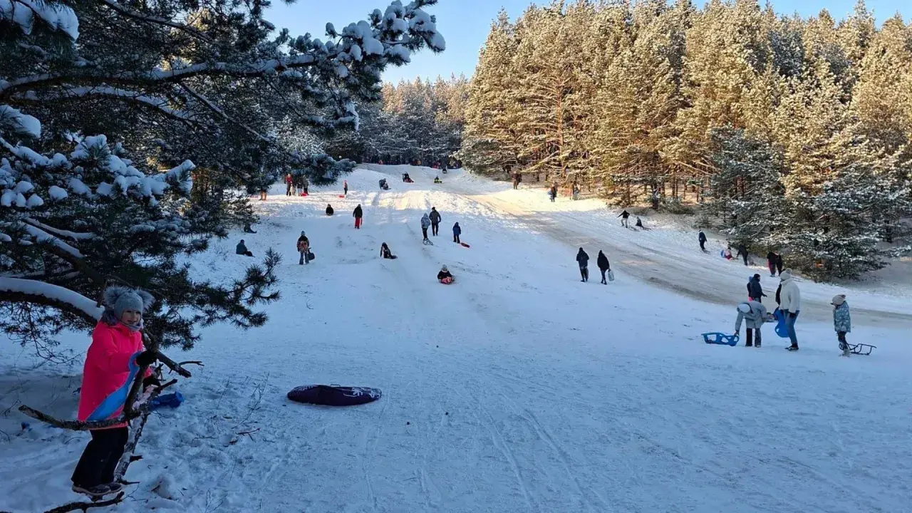 Radosne ferie zimowe na Podlasiu. Dzieci i dorośli zjeżdżają na sankach po ośnieżonym stoku, otoczonym zimowym lasem.