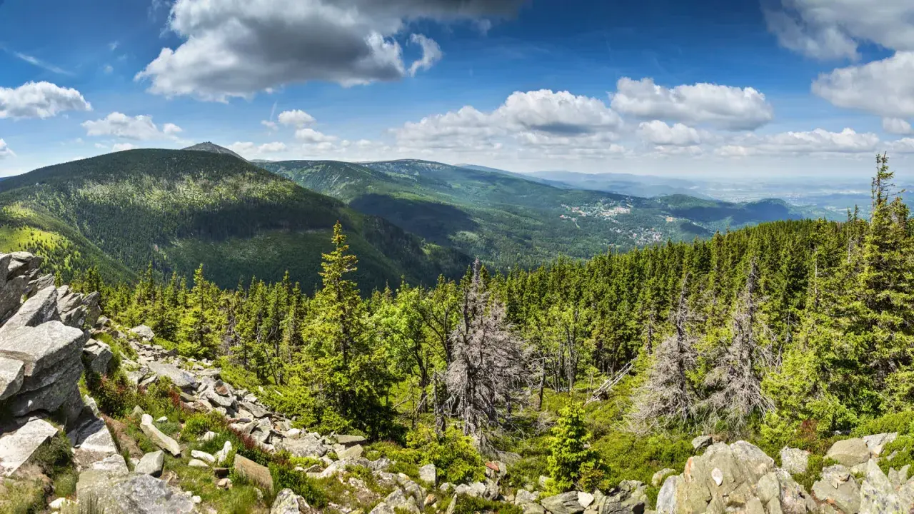 Majówka 2026 w Karkonoszach: skaliste zbocze, gęsty las świerkowy i widok na dolinę.