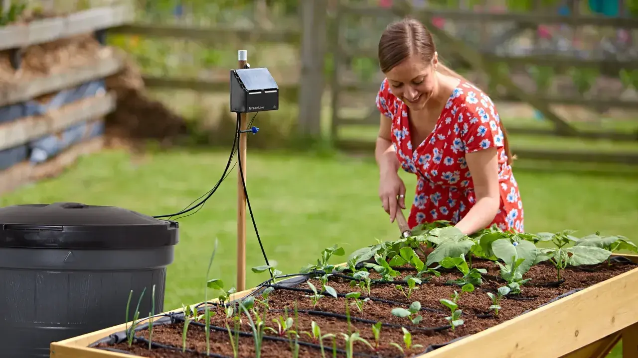 Kvinna i trädgården med ett system för att samla regnvatten och bevattna sina plantor.