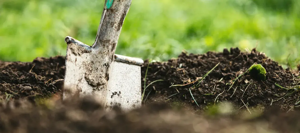 Schaufel steckt im Erdreich, bereit für die Gartenarbeit. Kein Beet wird hier umgegraben, nur die Erde wird gelockert.