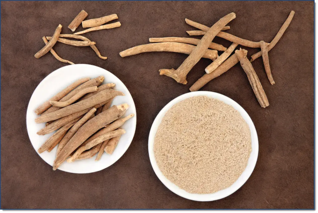 Getrocknete Ashwagandha-Wurzeln und Pulver auf braunem Untergrund. Withaferin A ist ein wichtiger Inhaltsstoff.