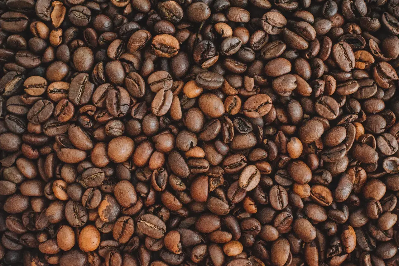 Jaką kawę wybrać, aby cieszyć się idealnym smakiem każdego dnia?