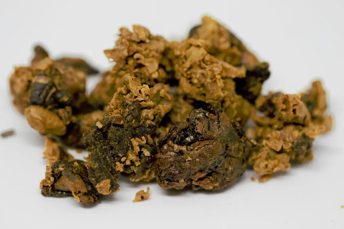 Cumuli di propoli grezza, una sostanza resinosa raccolta dalle api, con sfumature marroni e dorate. Cos'è la propoli delle api? È un dono della natura.