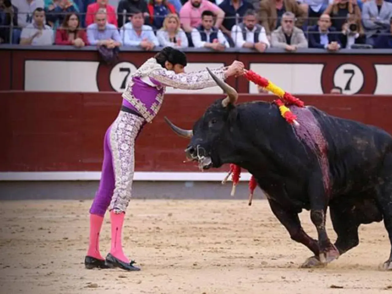 David Adalid, banderillero, se enfrenta a un toro bravo en la arena.