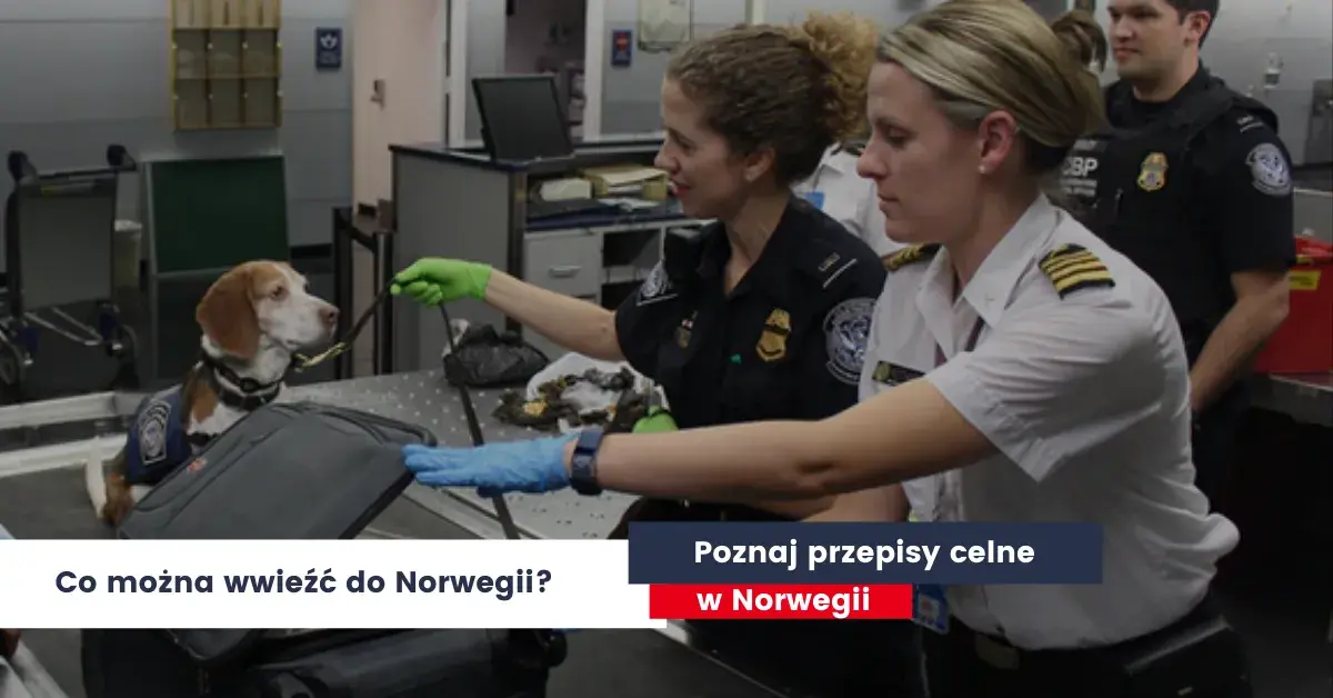 Co można przewieźć w bagażu podręcznym do Norwegii? Ważne zasady