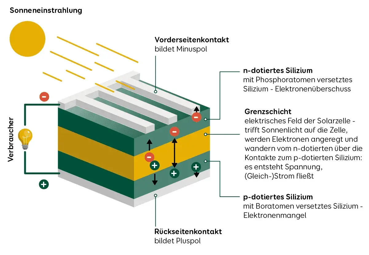 Der Aufbau einer Solarzelle: Sonnenlicht trifft auf n- und p-dotiertes Silizium, erzeugt Elektronenfluss und Spannung.