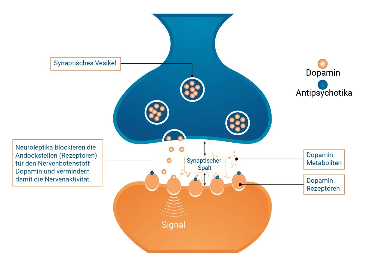 Schema einer Synapse: Dopamin-Vesikel, Dopamin-Rezeptoren und Antipsychotika.