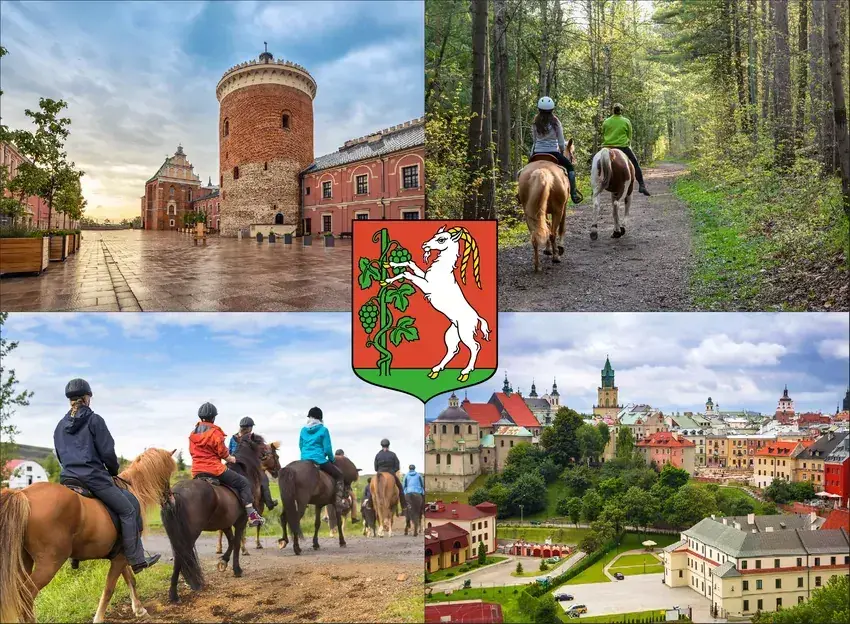 Stadniny koni Lublin: Usługi, ceny, porady znajdź idealne miejsce!