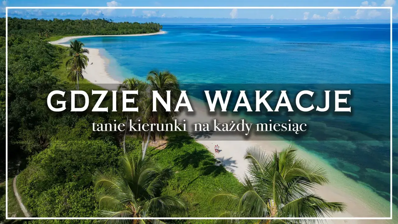 Rajska plaża z palmami i turkusową wodą. Szukasz pomysłu, gdzie tanio na wakacje za granicę?
