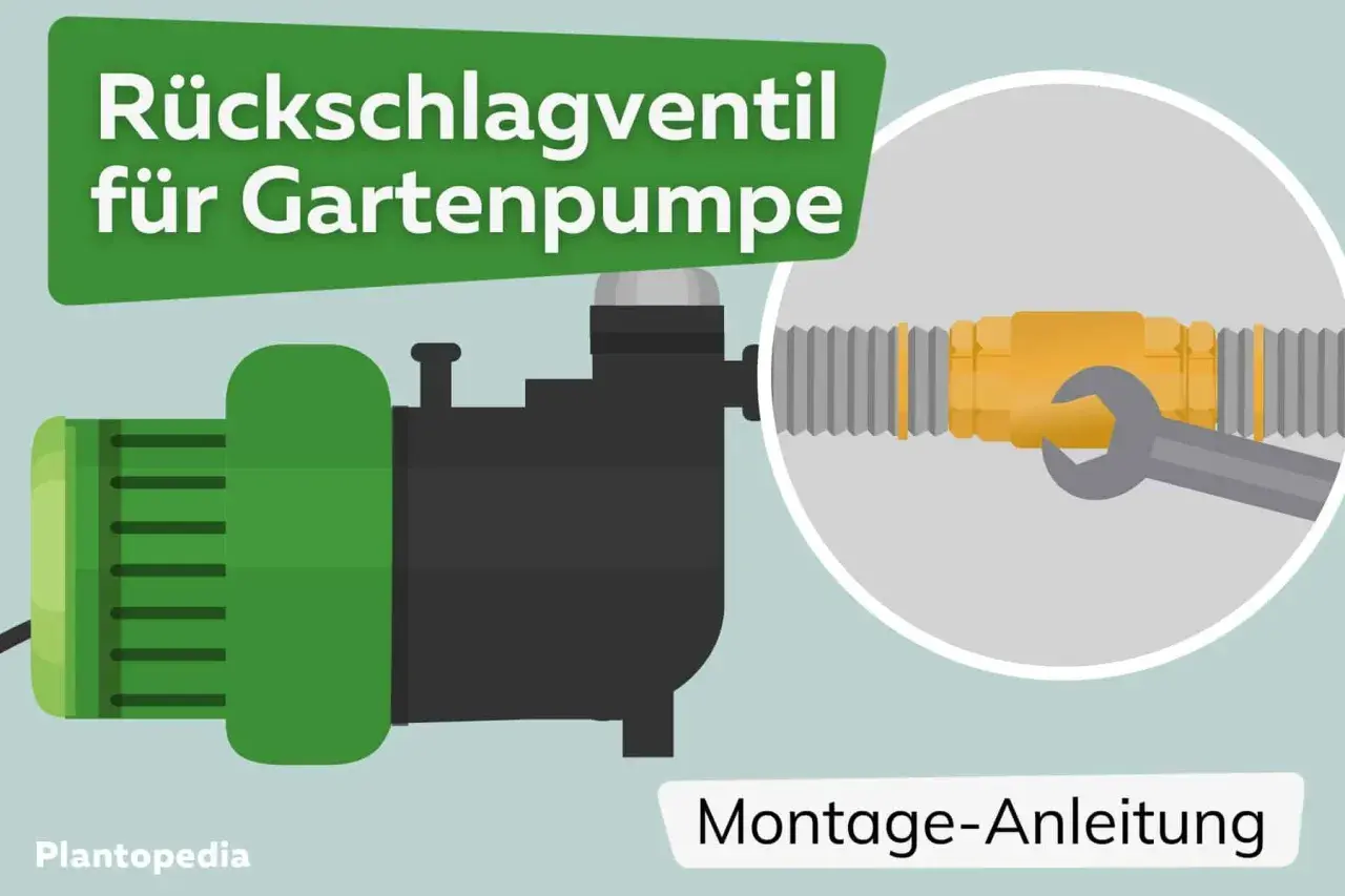 Illustration zeigt eine Gartenpumpe und eine Montageanleitung für ein Rückschlagventil.