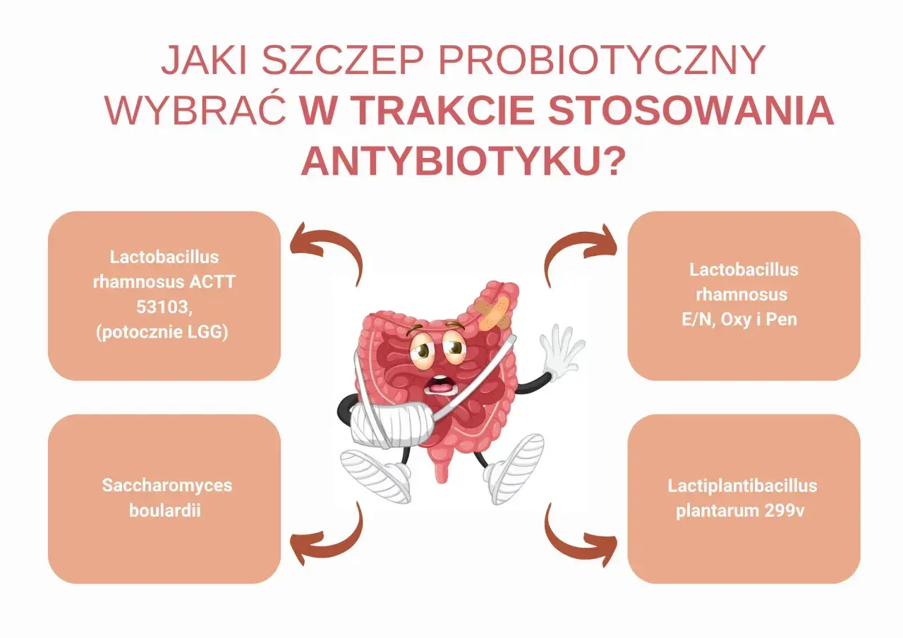 Zranione jelita potrzebują wsparcia! Wybierz odpowiedni probiotyk dla dzieci, by odbudować florę bakteryjną.