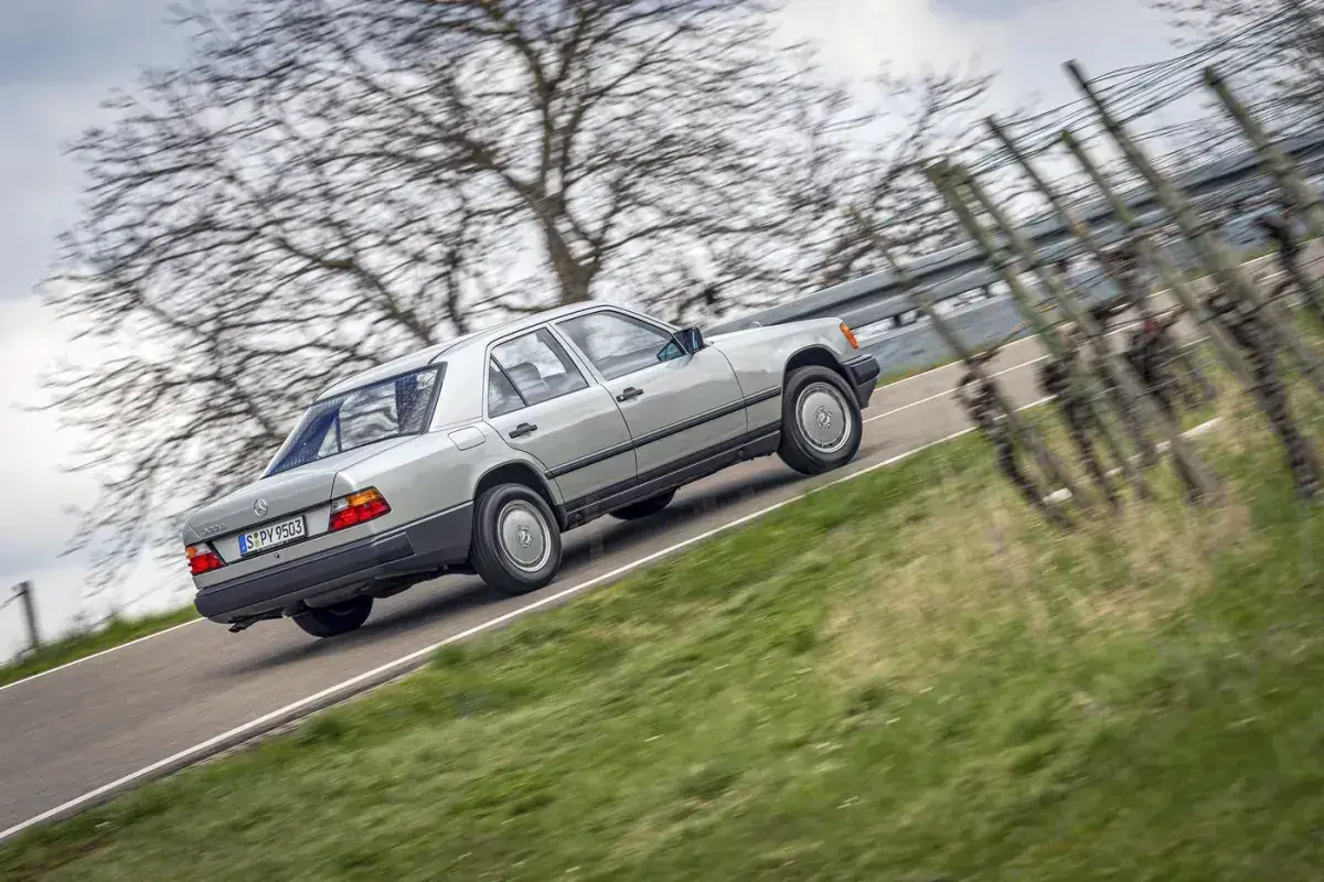 Srebrny w124 mercedes jedzie po krętej drodze wśród drzew i winorośli.