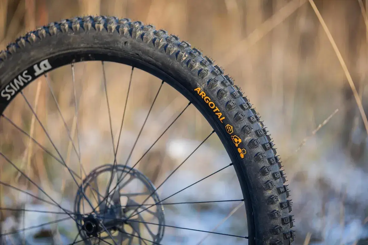 Close-up of a DT Swiss wheel with Argotal tires, showcasing their aggressive tread pattern, perfect for the lightest MTB tires.