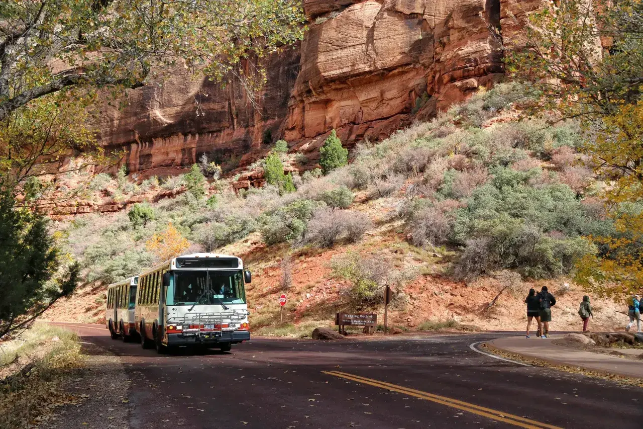 Shuttlebusse fahren durch den Zion Nationalpark, vorbei an roten Felswänden und Herbstlaub.